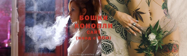 шишки Арсеньев