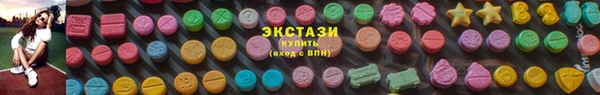шишки Арсеньев
