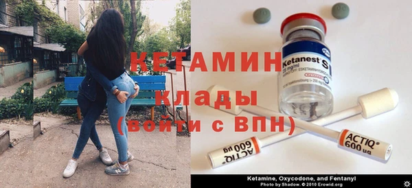 шишки Арсеньев