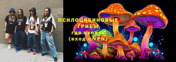 прущая мука Армянск
