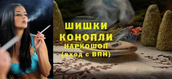 шишки Арсеньев