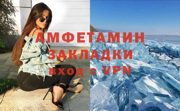 шишки Арсеньев