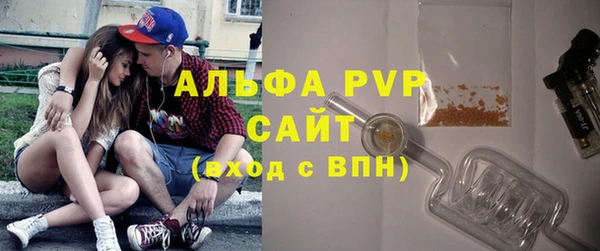шишки Арсеньев