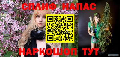 бошки Ставрополь