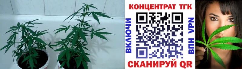 Дистиллят ТГК гашишное масло Георгиевск