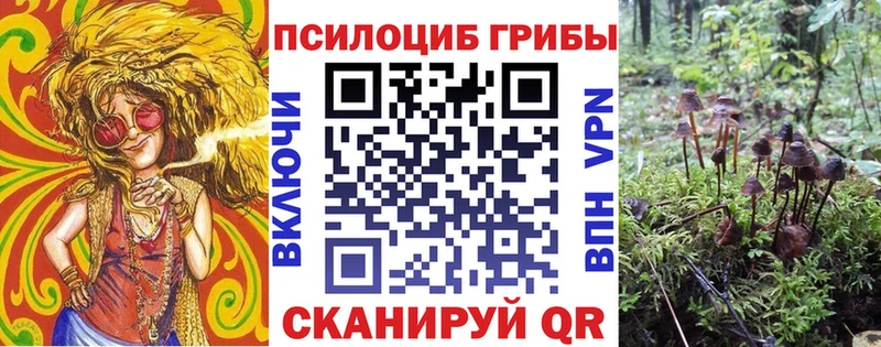 Галлюциногенные грибы Psilocybe  Георгиевск 