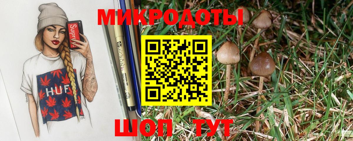 Псилоцибиновые грибы прущие грибы  Псилоцибиновые грибы прущие грибы  Вход с VPN  Георгиевск 
