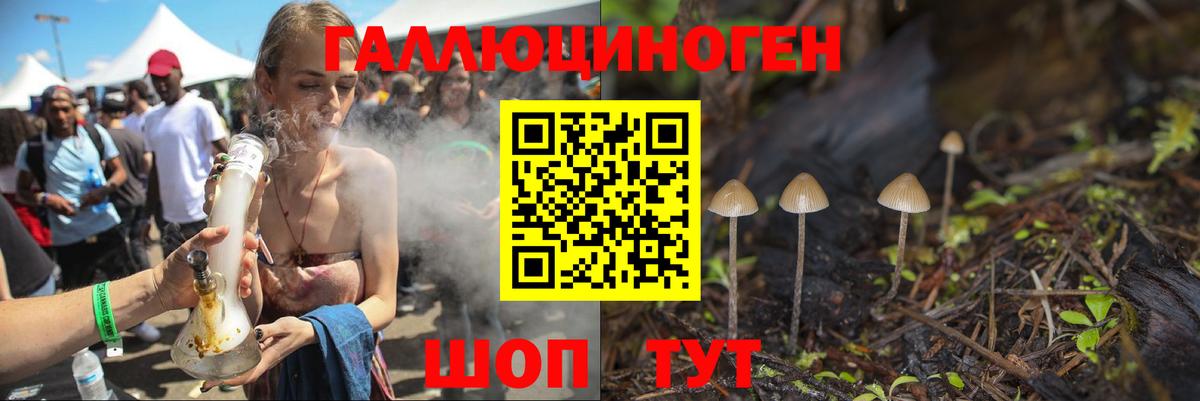 Псилоцибиновые грибы Psilocybe Георгиевск