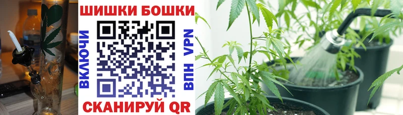 Каннабис MAZAR  Георгиевск 